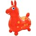 RODY ���f�B �I�����W (���K�A���i)