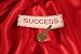 The Daily Inspirational Success Quotes Collection: With 365 Quotes, Statements and Comments!!! by John Jones