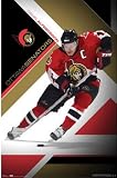 Ottawa Senators (Daniel Alfredsson) Poster Poster Print, 22x34