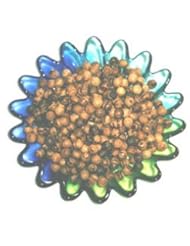 10mm Rosary carved Beads (60 beads) - Betlehem Olive wood