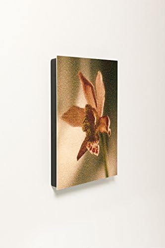 Command Décor Damage-Free Wall Tiles, Daylily