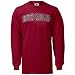 Nike South Carolina Gamecocks Garnet Youth Classic College Long Sleeve T-shirt
