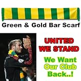A Yellow & Green Bar Scarf