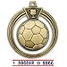 Hasty Awards 2.5 Eclipse Custom Soccer Medals M-707S GOLD MEDAL/AMERICANA Custom Soccer RIBBON 2.5