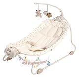 Safety 1st Dream Bear Swing Time Hammock