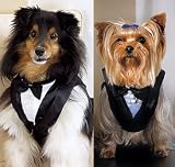 Medium Pet Tux