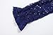 Bonny Billy Girl's A-Line Long Sleeve Blue Lace Kid Dress