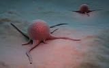 Malignant Disease - 18