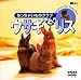 ウサギとリス/ちっちゃいものクラブ
