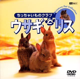 �E�T�M�ƃ��X/�������Ⴂ���̃N���u [DVD]