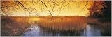 Ted Ellis Nature Reserve Norfolk art print by Richard Osbourne