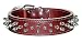 1 1/2 Df Full Spiked Latigo Collar