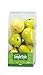 FloraCraft 9 Piece Decorative Mini Fruit Yellow/Green Pear