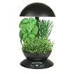 AeroGarden 900110-1208 Classic Garden 3-Pod with Gourmet Herb Seed Kit, Black