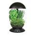 AeroGarden 900110-1208 Classic Garden 3-Pod with Gourmet Herb Seed Kit, Black