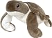 Plush Cuddlekins Baby Sea Turtle 8