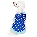 Blueberry Pet Polka Dot Prince Designer Dog Sweater in Royal Blue and Chocolate Plum, Back Length 12