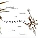 Classical Music : Campanula