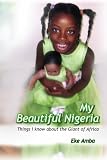 My Beautiful Nigeria: Things I know About The Giant of Africa
