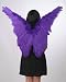 Purple Costume Feather Wings Adult Butterfly Angel Fairy Macaw Tinkerbell Cosplay