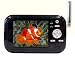 iVIEW-352PTV 3.5-Inch Portable Digital LCD TV iVIEW-352PTV 3.5-Inch Portable Digital LCD TV