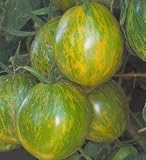 Organic Green Zebra Tomato 15 Seeds- SWEET yet ZINGY