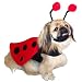 Dog Costume - Ladybug Pet Costume - Large