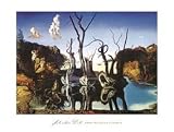 Swans Reflecting Elephants, c.1937 Best Seller Poster Print by Salvador Dali, 36x24