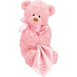 Baby Gund God Bless Baby Key Wind Motion Musical by Gund