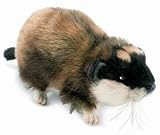 Plush Norwegian Lemming 6 41u OJFOkeL. SL160 Plush Norwegian Lemming 6