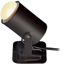 Black Finish Mini Spot Light