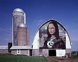 Mona Lisa Barn Art, Wisconsin Photograph - Beautiful 16"x20" Photographic Print by Carol M. Highsmith