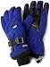 Glove with Removable Liner and Nylon Web Strap