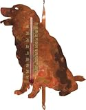 Ancient Graffiti Dog Nature Thermometer