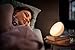 Philips Hue Go Personal Wireless Lighting LED Table Lamp