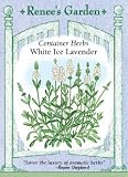 White Lavender Seeds