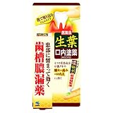 生葉　口内塗薬　（ぬりぐすり）　２０ｇ[第3類]の画像