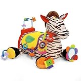 Ryan the Zebra Activity Center by K's Kids