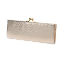 ALDO Mcneeley - Women Clutches
