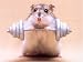 A Beginners Guide to Body Building