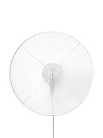 PETITE FRITURE Lámpara De Pared Grillo Big Con Cavo Blanco