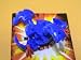 Bakugan Blue Aquos Gren - Loose