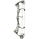 Bear Archery Anarchy Compound Bow, RLTR APG