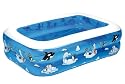 Friedola Gebr. Holzapfel GmbH 12450 - Pool Arctic, 143 x 106 x 36 cm, blau