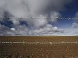 IMAGE OF A Desolate Landscape with Barbed Wire Fence Photographic Poster Print, 30x40