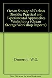 Ocean storage of carbon dioxide : workshop 4 - practical and experimental approaches