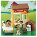 MainStreet Village Vet