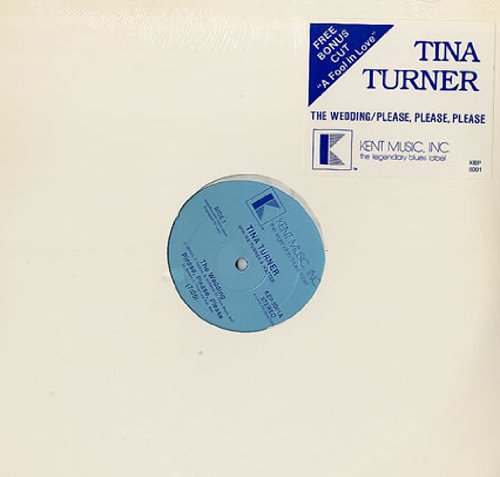 Album Art for The Wedding/Please, Please, Please/A Fool in Love by Tina Turner