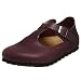 Birkenstock Paris Clog Image
