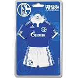 FC Schalke 04 Trikot / Autotrikot 2010/2011
